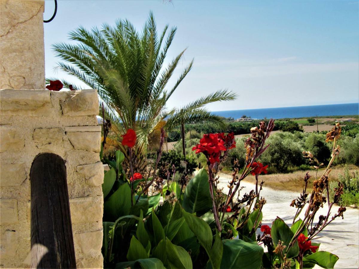 Villa Dioni Coral Bay Zewnętrze zdjęcie